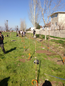 Aryana blog 4 - tree planting